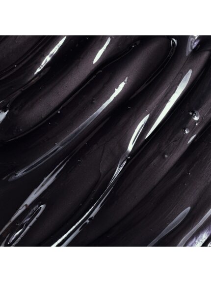 Shampoo La Puissance Black Platinum X 300ml