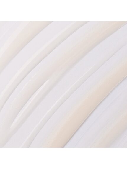 Shampoo La Puissance Soft Liss X 300ml