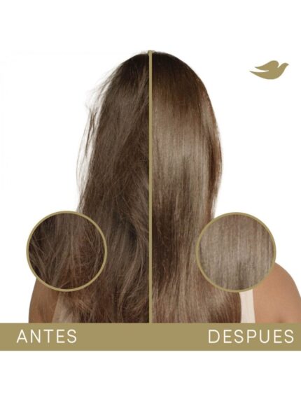 Acondicionador Bond Repair + Péptido Dove X 250ml