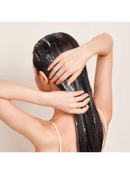 Acondicionador Alfaparf Semi Di Lino Smooth X 200ml